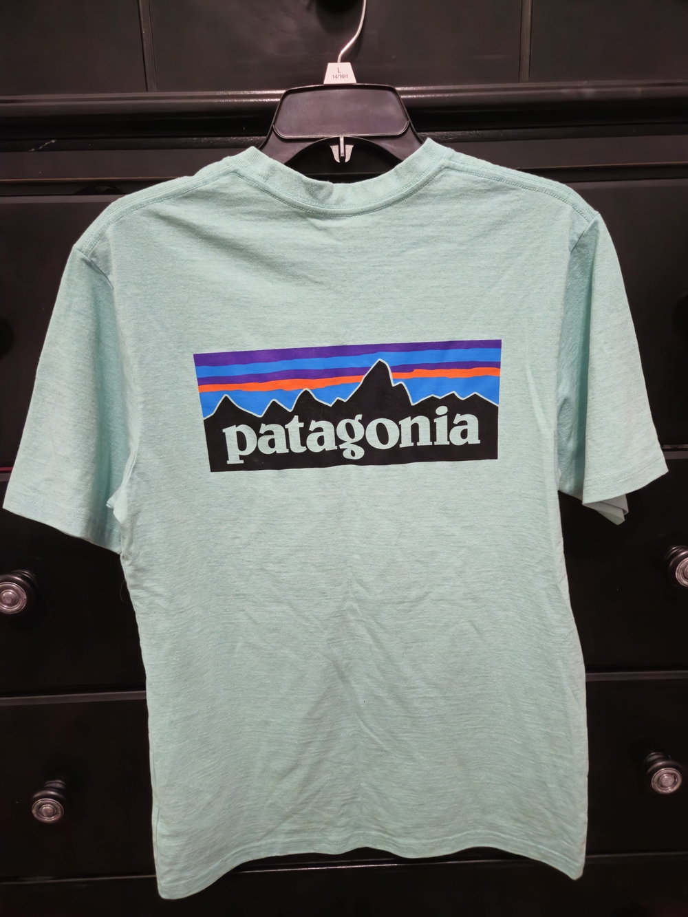 Patagonia Men's Seafoam Graphic Logo T-Shirt
